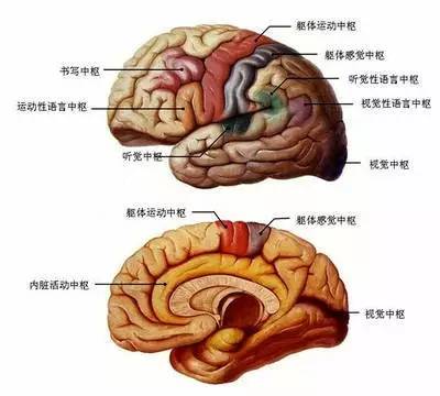 1570688996107905.jpg